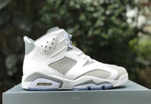 Air Jordan 6